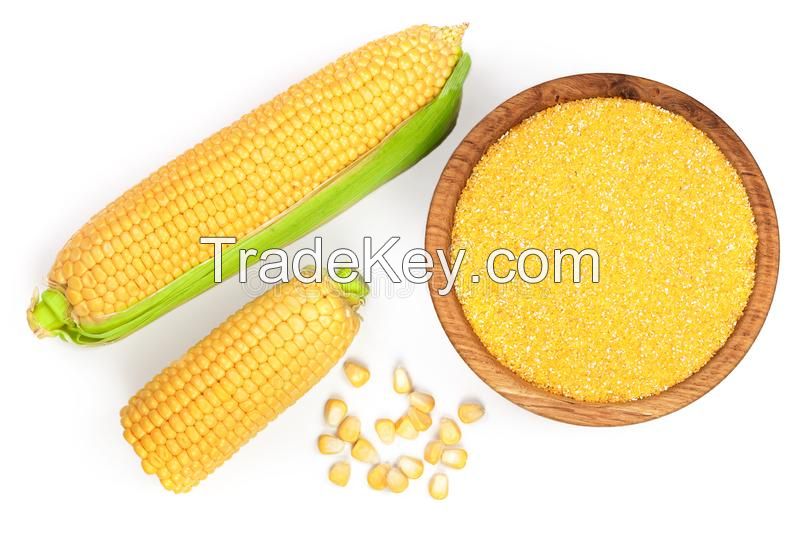 Corn Starch Buy Bangladesh