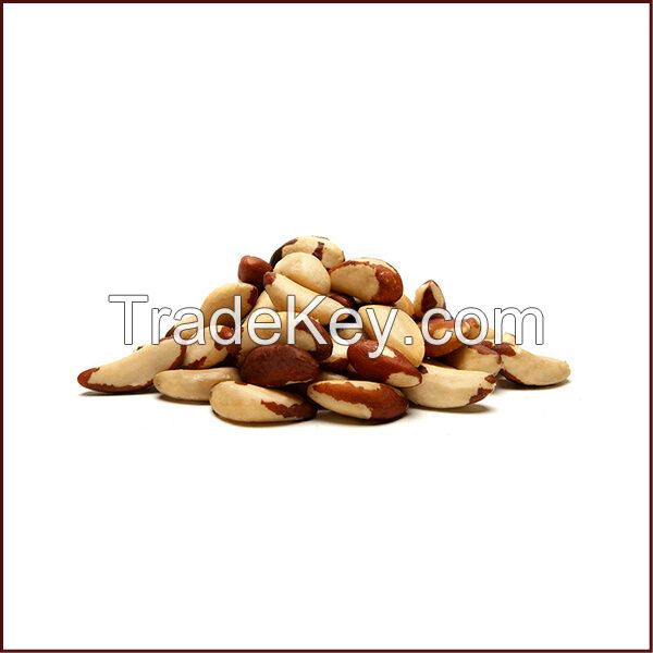 Brazil Nut Tree For Sale