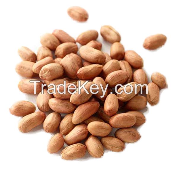 Raw Dried Peanuts For Sale