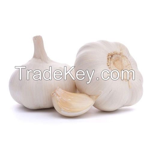 Fresh Garlic For Sale Douala