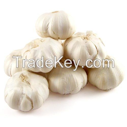 Fresh Garlic For Sale For Cameroon