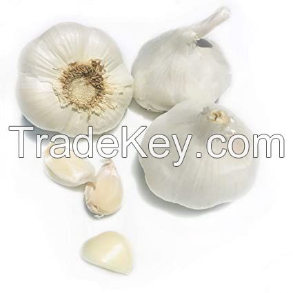 Fresh Garlic For Sale Home Depot