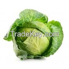 Fresh Cabbage Suppliers Australia