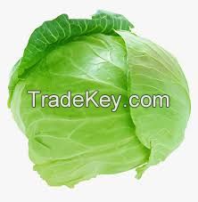 Fresh Cabbage Suppliers Denmark