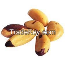 Brazil Nuts Manufacturers
