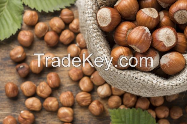 Hazel Nuts Suppliers Belgium