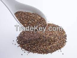 Chia Seed Oil Supplier