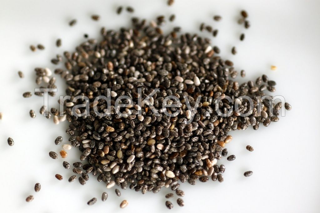 Chia Seed Powder Supplier