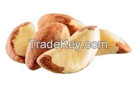 Brazil Nut Suppliers