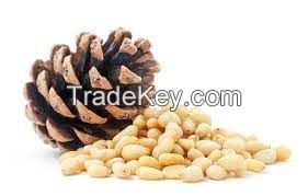 Pine Nuts Suppliers Hub