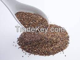 Chia Seed Suppliers Mexico