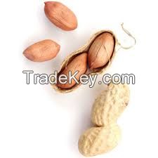 Runner Peanuts Suppliers