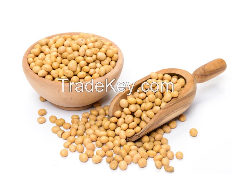 organic soybean seed suppliers