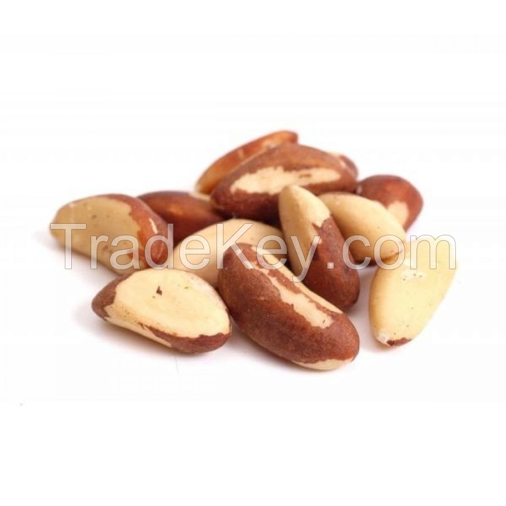 Brazil Nuts Suppliers