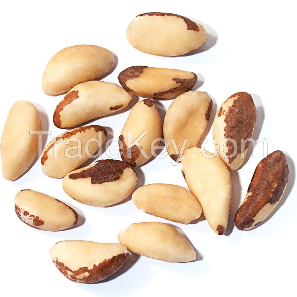 Brazil Nut Bulk