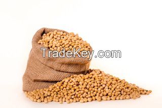 soybean seed companies
