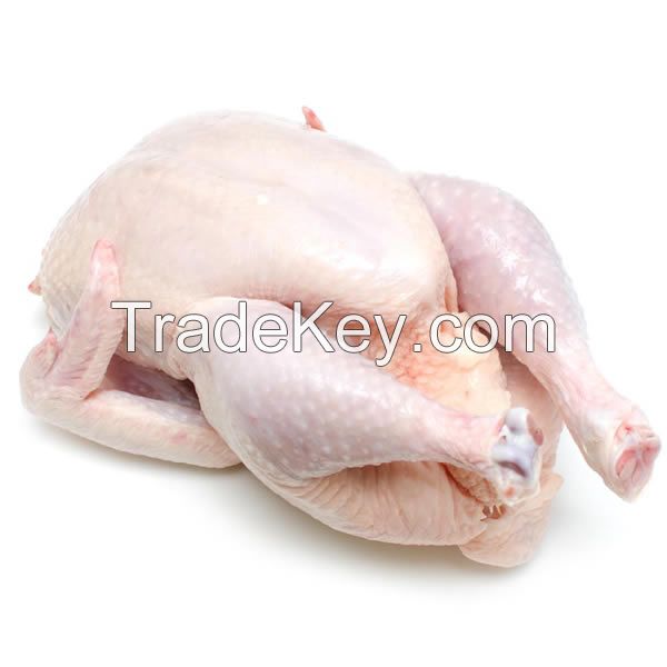 FROOZEN CHICKEN FOR SALE