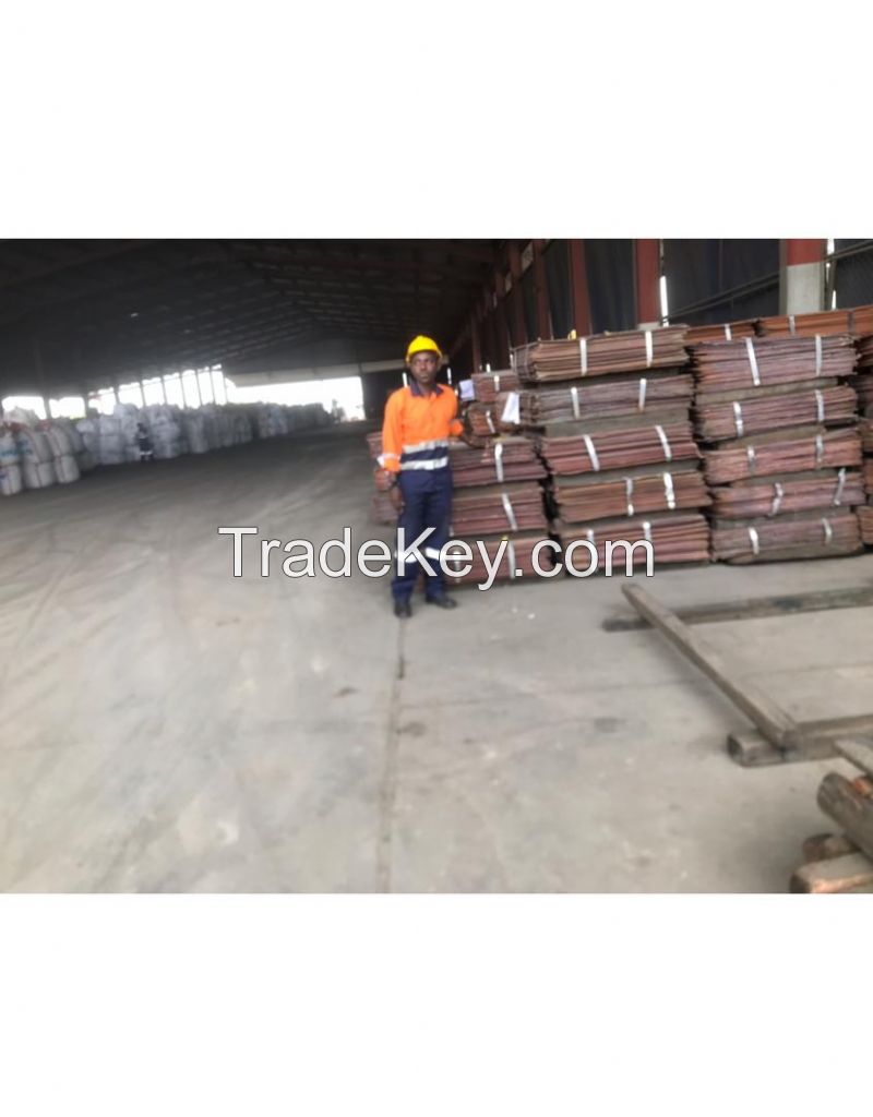 Copper Cathodes 99.97+ Brand Name mines FCA no LC no PrePay