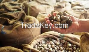 cocoa seeds, palm kernel seeds, cashew nuts