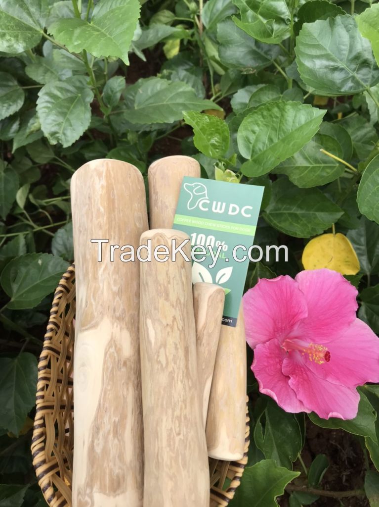 Coffee Tree Bone Chew Stick For Dogs Made Of Coffee Wood