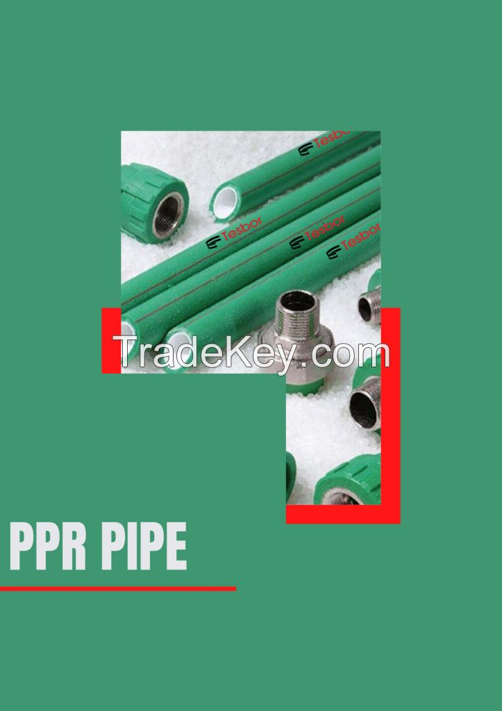 ppr pipes and fitting