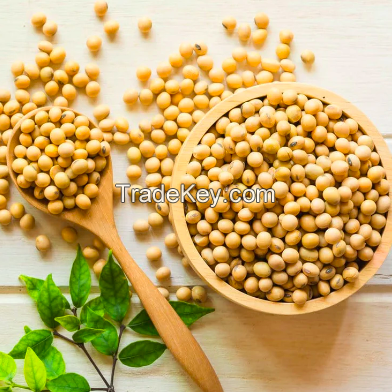 Soybeans