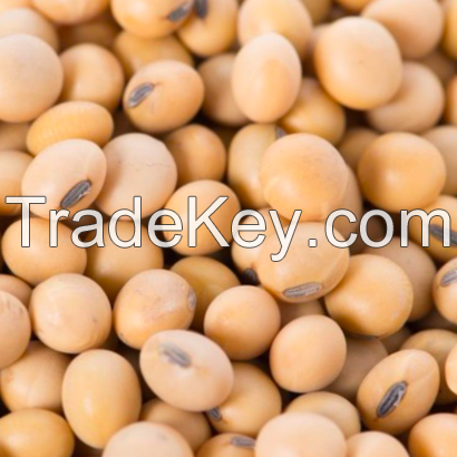 Soybeans