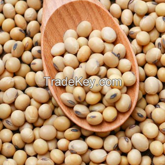 Soybeans