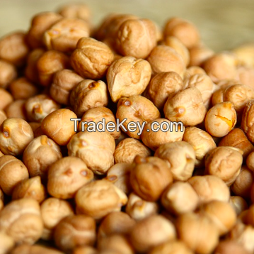 Chickpeas sortex cleaned