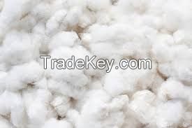  raw cotton Fiber 