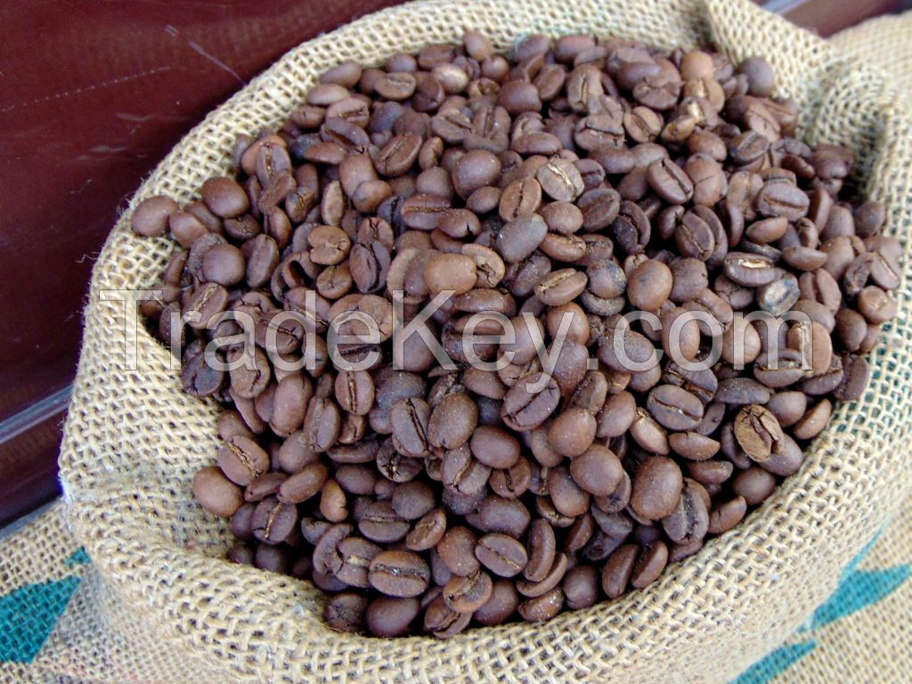 Coffee products green coffee beans robusta common coffe beans robusta green coffee