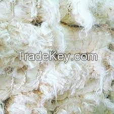  raw cotton Fiber 