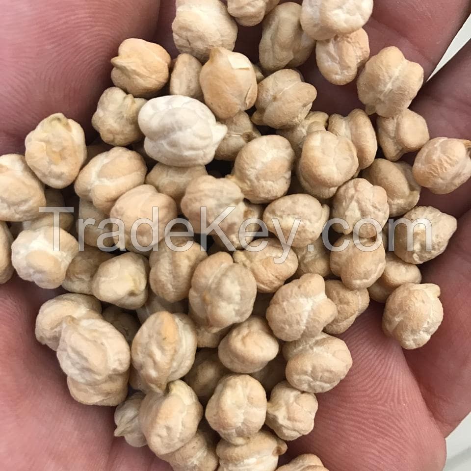 Great quality chickpeas available for sale