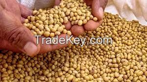 Soybeans