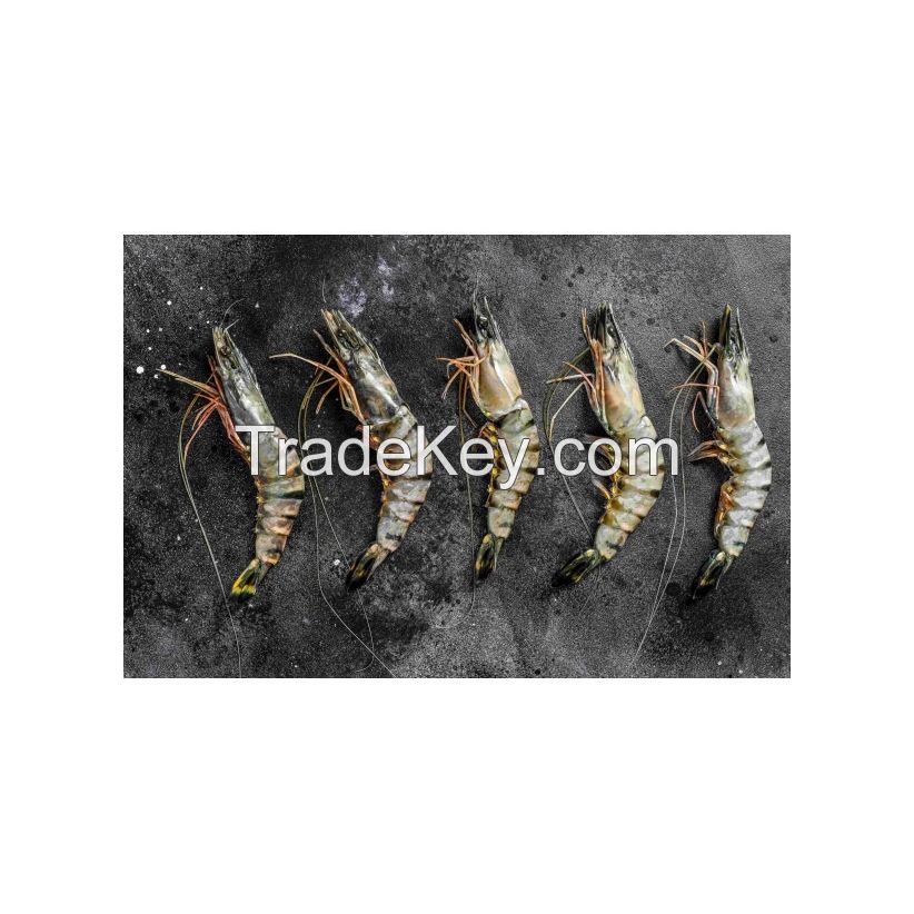 Buy premium-quality Shrimps in large quantities at the best rates