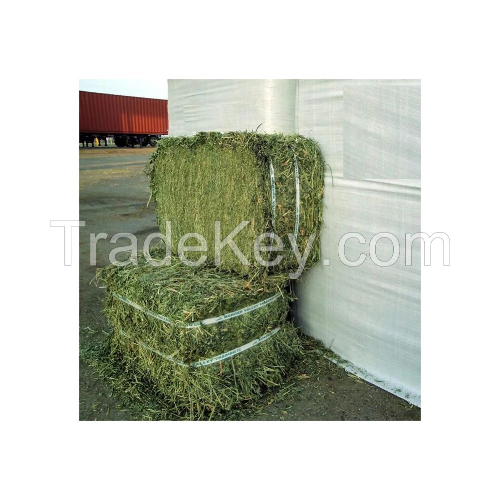 Alfalfa Hay at very cheap price / Quality Rhodes Grass Hay Alfalfa