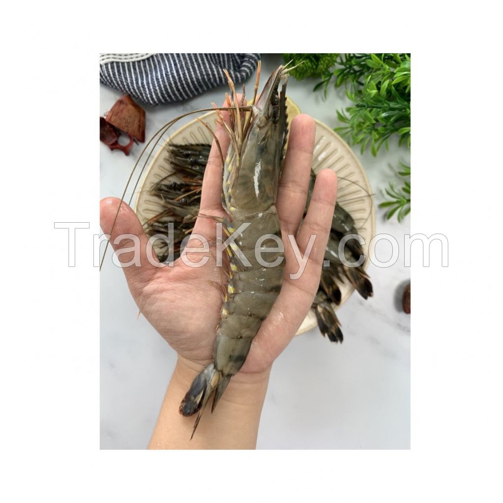 Buy premium-quality Shrimps in large quantities at the best rates