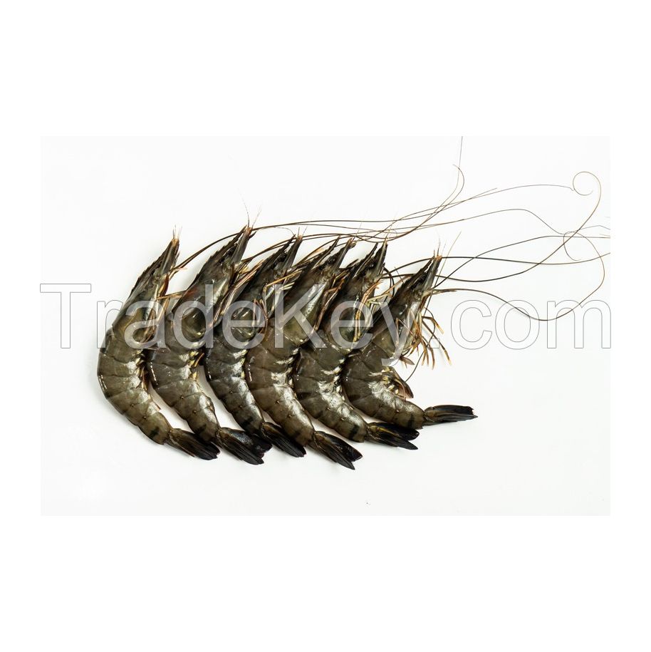 Buy premium-quality Shrimps in large quantities at the best rates
