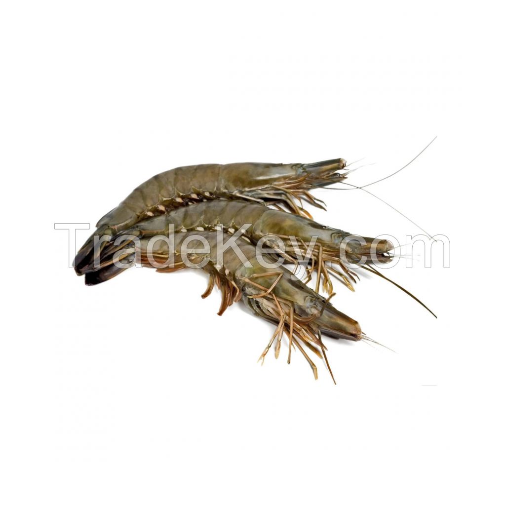 Buy premium-quality Shrimps in large quantities at the best rates