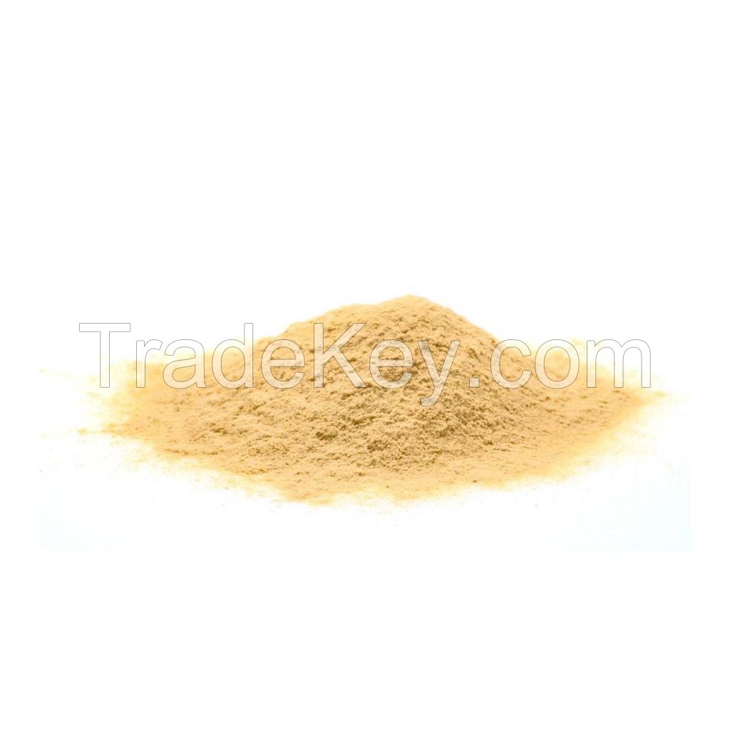 Wholesale whey protein for bodybuilding and fitness enthusiasts