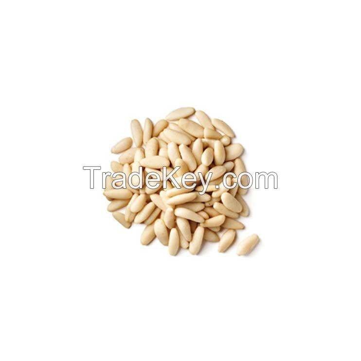 Freshly harvested Organic Pine Nuts with rich flavor