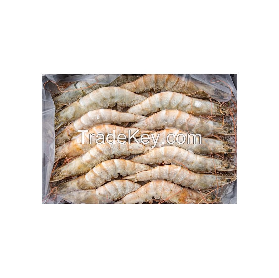 Bulk supply of Frozen White Shrimp with fast delivery