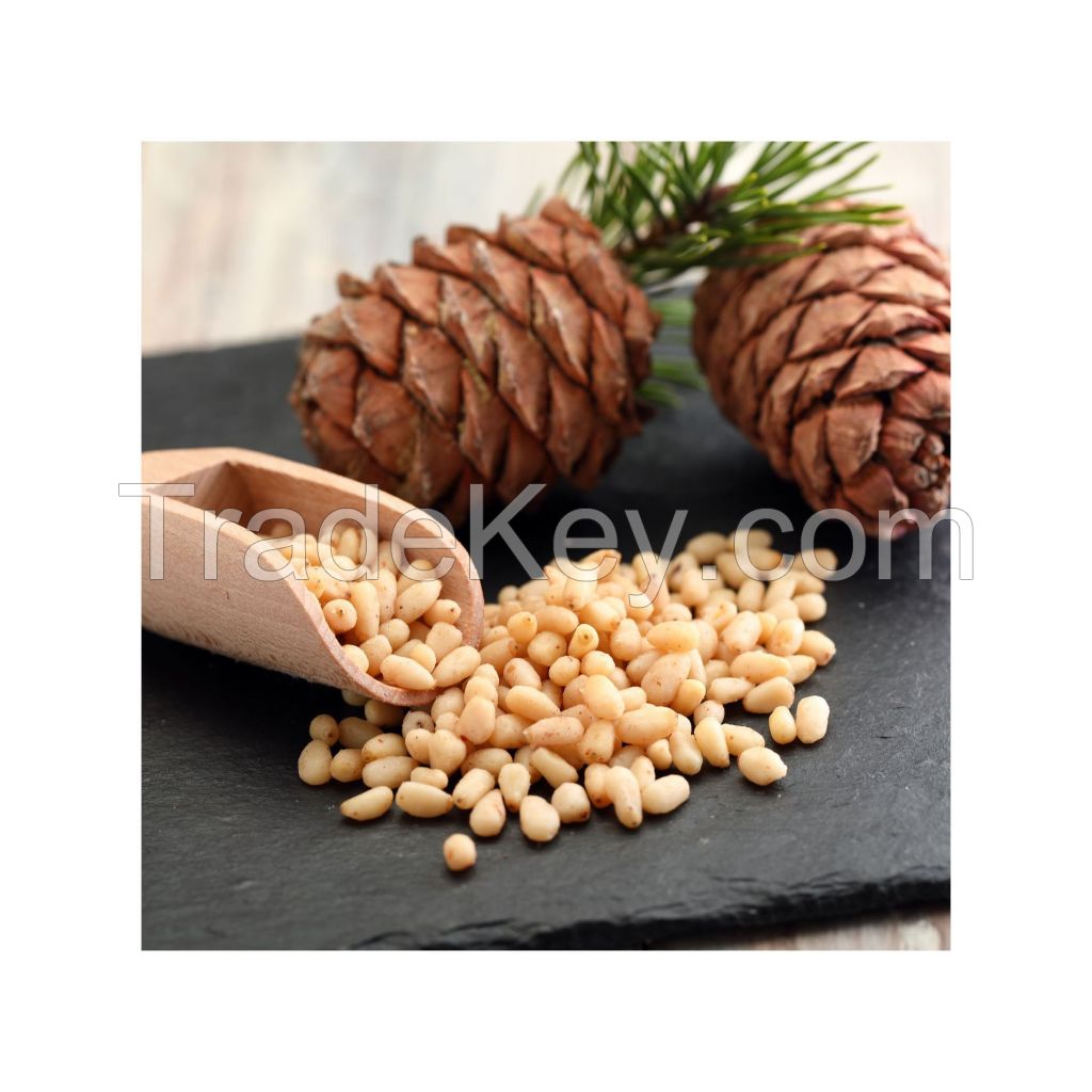 Freshly harvested Organic Pine Nuts with rich flavor