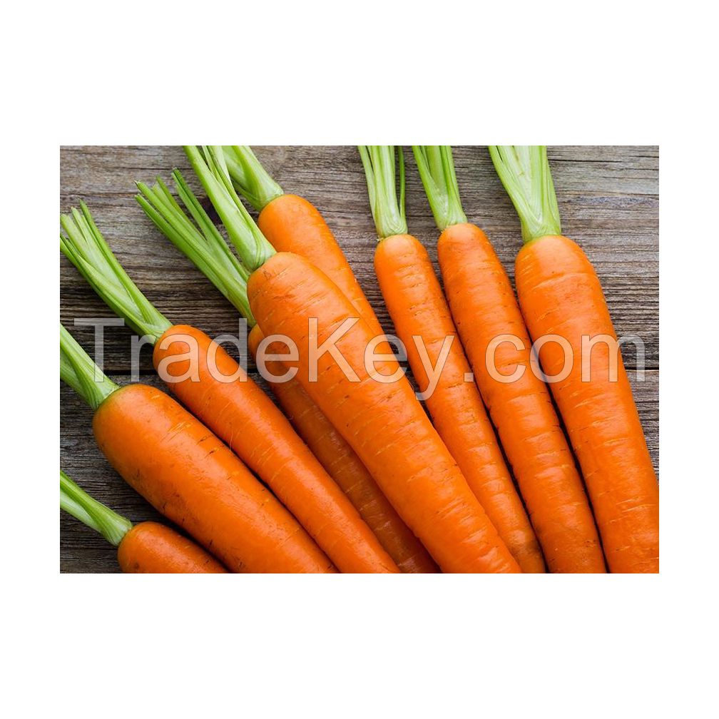 Premium fresh carrots available in bulk supply