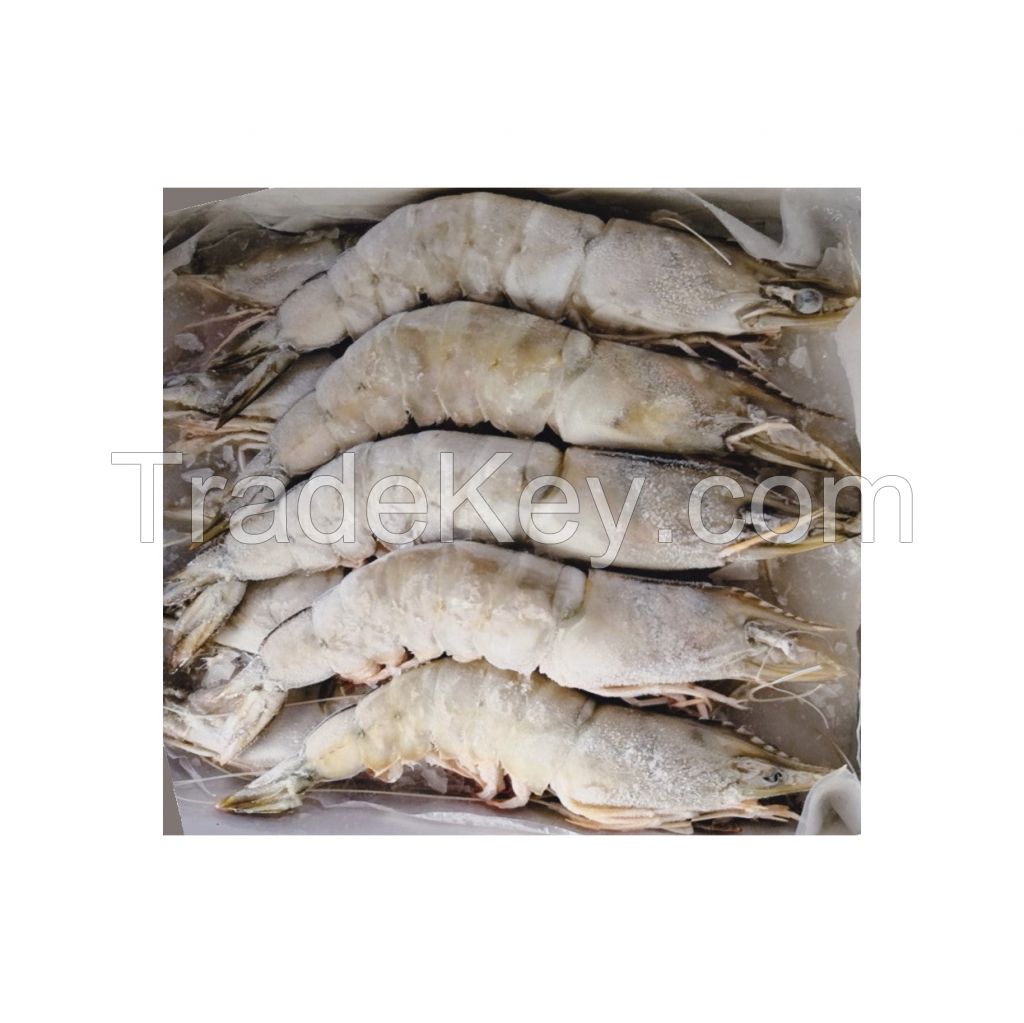 Premium Frozen White Shrimp available in bulk