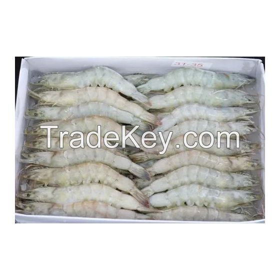 Bulk supply of Frozen White Shrimp with fast delivery