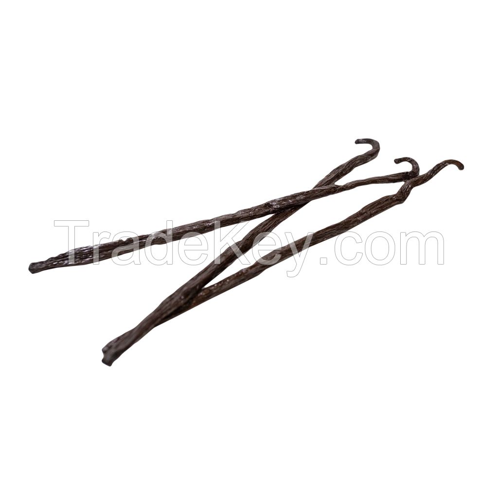 Cured vanilla beans available in large quantities for wholesale supply
