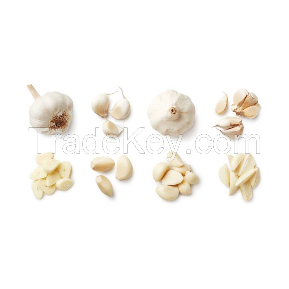 High-quality Fresh Garlic available in bulk at low prices