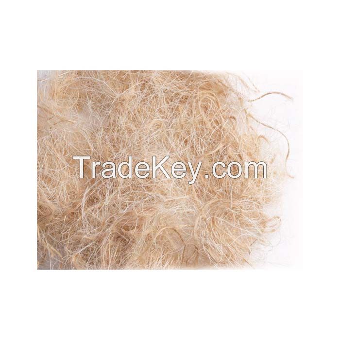 Long sisal fiber for textile and fabric industries
