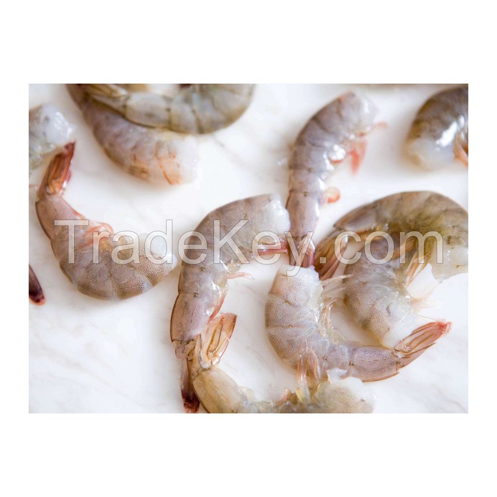 Premium Frozen White Shrimp available in bulk